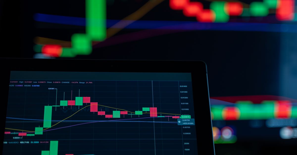 BioExecRisk: intro focus